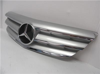 2006 2007 Mercedes Benz R Class Front Grill Silver Grille Piece Without Backing