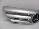 2006 2007 Mercedes Benz R Class Front Grill Silver Grille Piece Without Backing