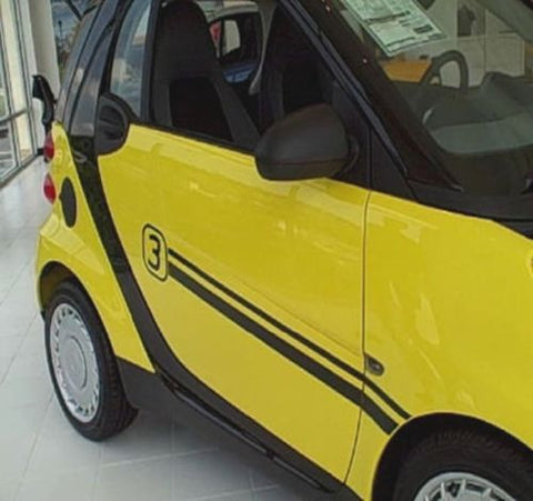 OEM Smart Car ForTwo Racing Pin Stripes Door Hood Decals Body Graphics Black