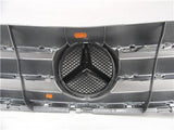 2006 2007 Mercedes Benz R Class Front Grill Silver Grille Piece Without Backing